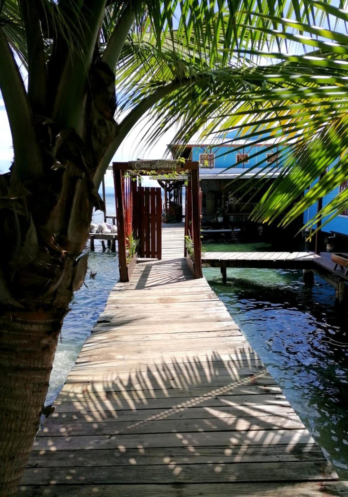 Casa Acuario Boutique Hotel Bocas del Toro Exterior photo