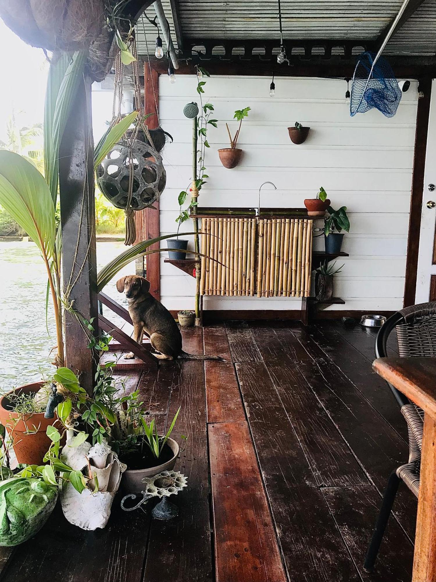Casa Acuario Boutique Hotel Bocas del Toro Exterior photo